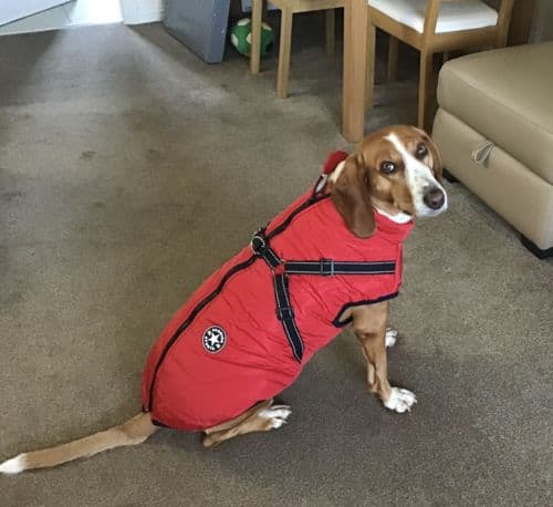 FutroHeat™ – Kurtka 3w1