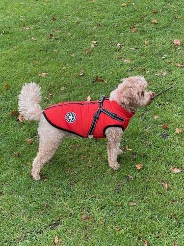 FutroHeat™ – Kurtka 3w1