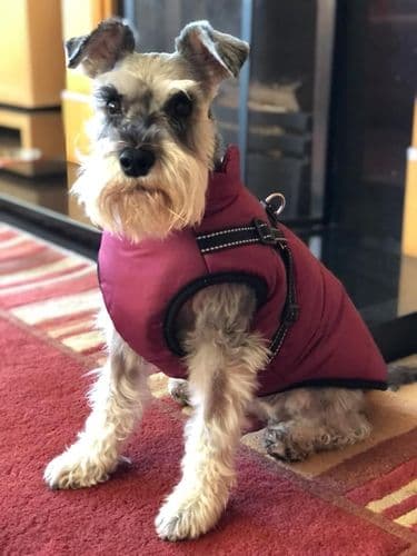 FutroHeat™ – Kurtka 3w1