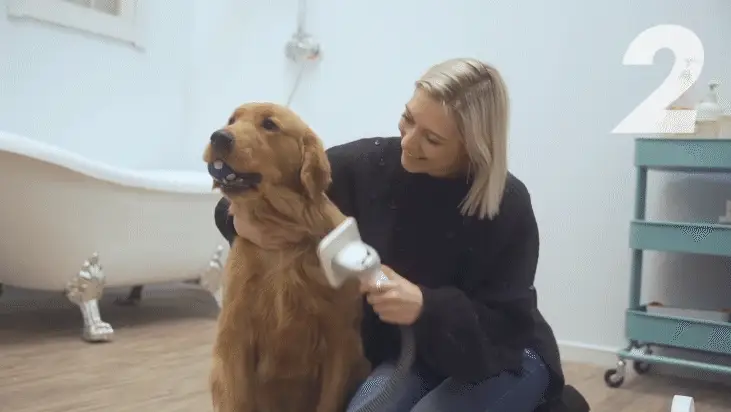 GroomMaster Pet 7‑in‑1