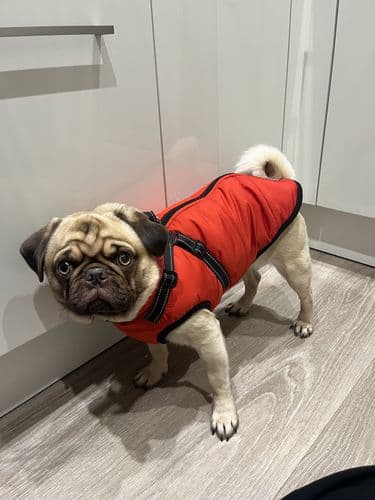 FutroHeat™ – Kurtka 3w1