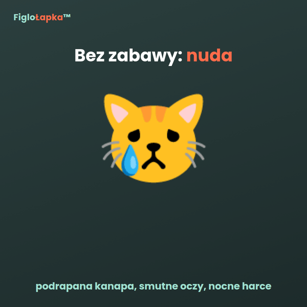 FigloŁapka™ – samobieżna zabawka do gonitwy dla kota i psa
