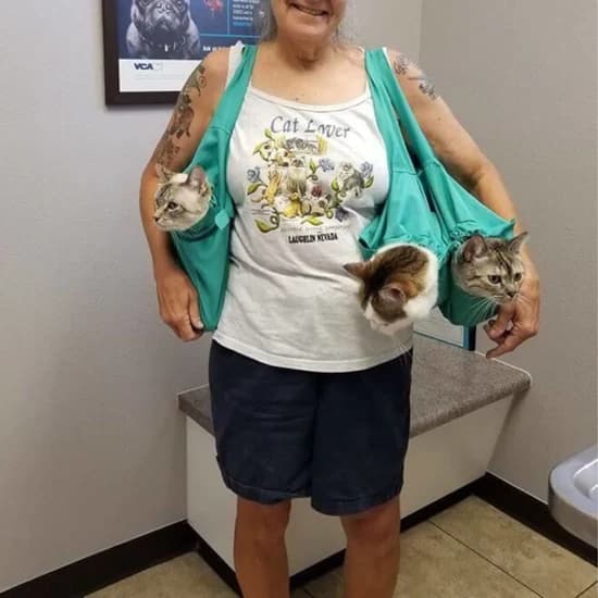 CatPocket™: lekki sling, idealny na spacery z kotem