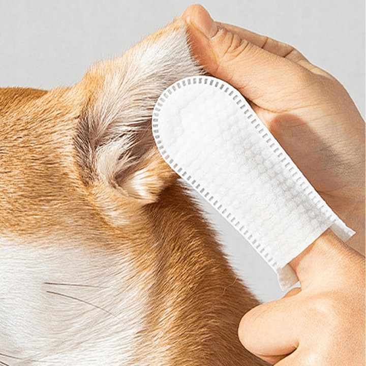 PureEar FingerWipes™ – Higiena Uszu bez Stresu! 👂🐾