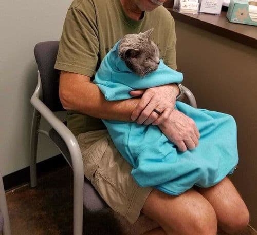 CatPocket™: lekki sling, idealny na spacery z kotem