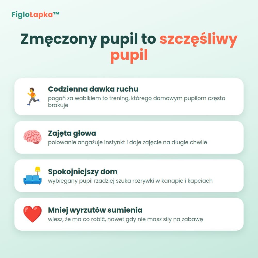 FigloŁapka™ – samobieżna zabawka do gonitwy dla kota i psa