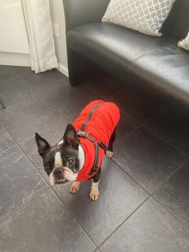 FutroHeat™ – Kurtka 3w1