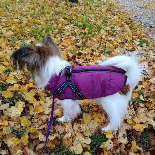 FutroHeat™ – Kurtka 3w1