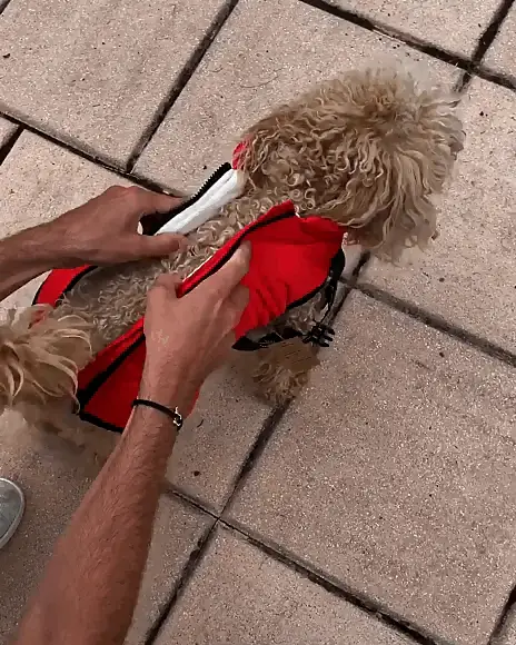 FutroHeat™ – Kurtka 3w1