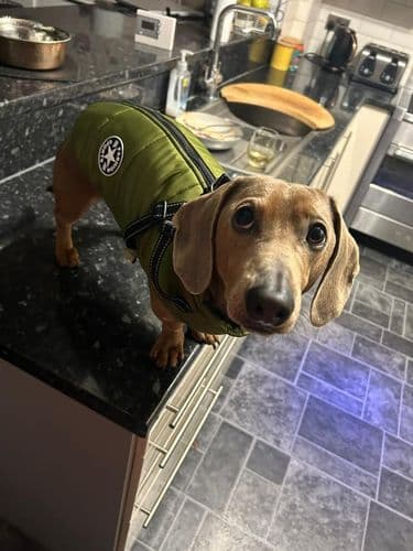 FutroHeat™ – Kurtka 3w1