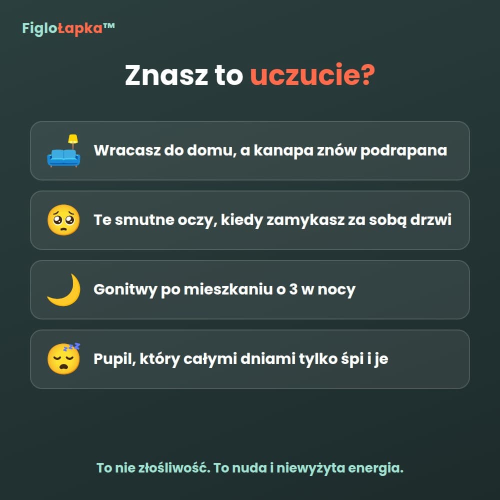 FigloŁapka™ – samobieżna zabawka do gonitwy dla kota i psa
